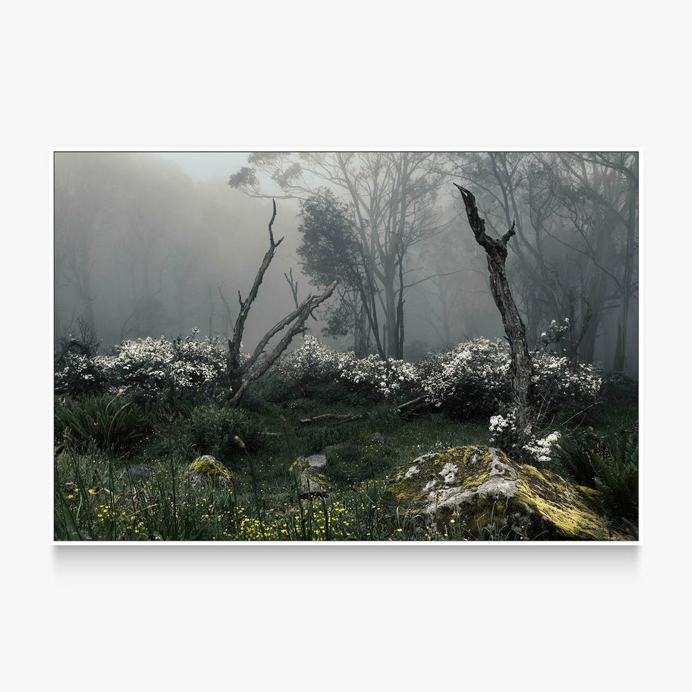 Fogscape-by-Andrew Paranavitana-wall-art-print-canvas-poster-framed-Gioia