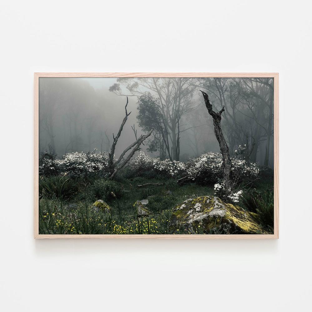 Fogscape-by-Andrew Paranavitana-wall-art-print-canvas-poster-framed-Gioia