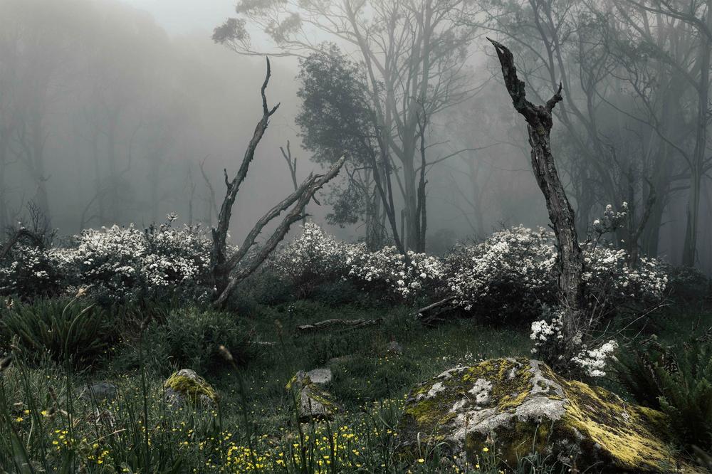 Fogscape-by-Andrew Paranavitana-wall-art-print-canvas-poster-framed-Gioia