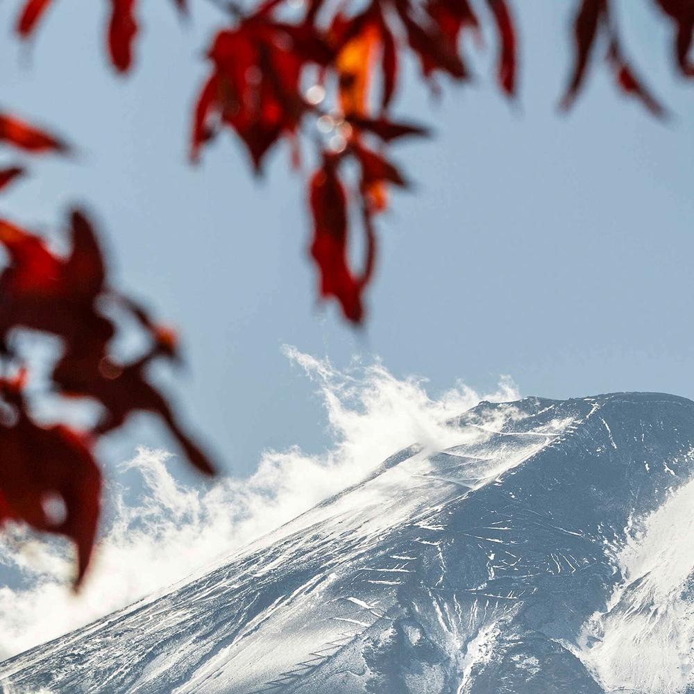 Fuji Autumn Trees-by-Andrew Paranavitana-wall-art-print-canvas-poster-framed-Gioia
