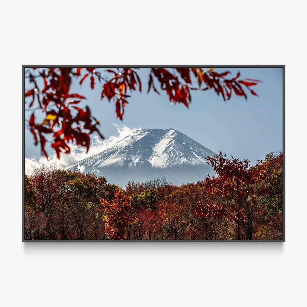 Fuji Autumn Trees-by-Andrew Paranavitana-wall-art-print-canvas-poster-framed-Gioia