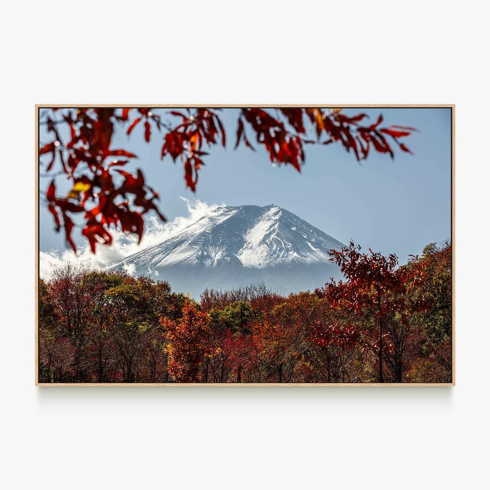 Fuji Autumn Trees-by-Andrew Paranavitana-wall-art-print-canvas-poster-framed-Gioia