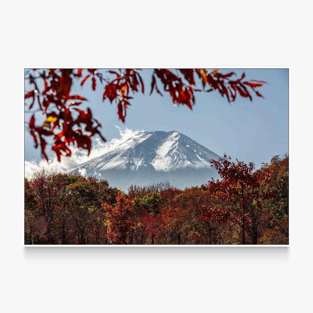 Fuji Autumn Trees-by-Andrew Paranavitana-wall-art-print-canvas-poster-framed-Gioia