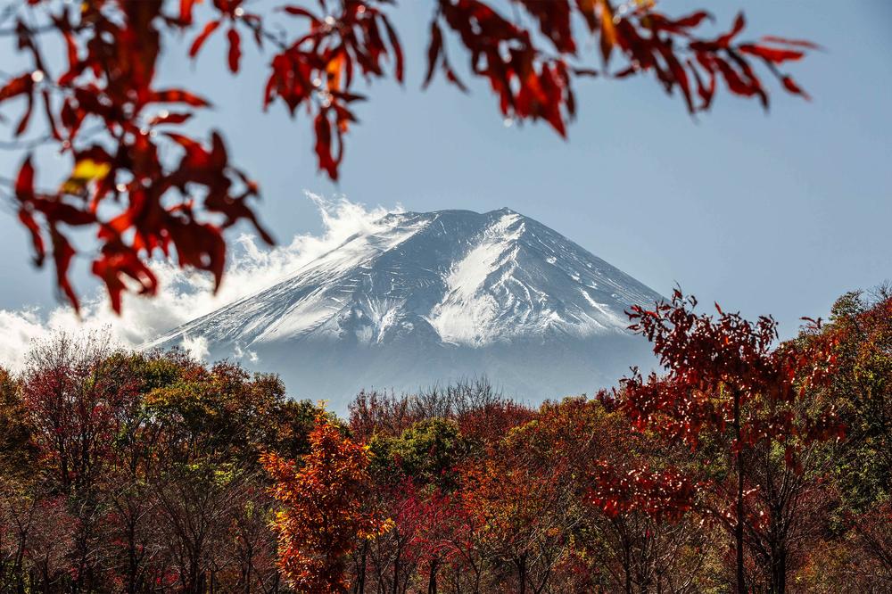 Fuji Autumn Trees-by-Andrew Paranavitana-wall-art-print-canvas-poster-framed-Gioia