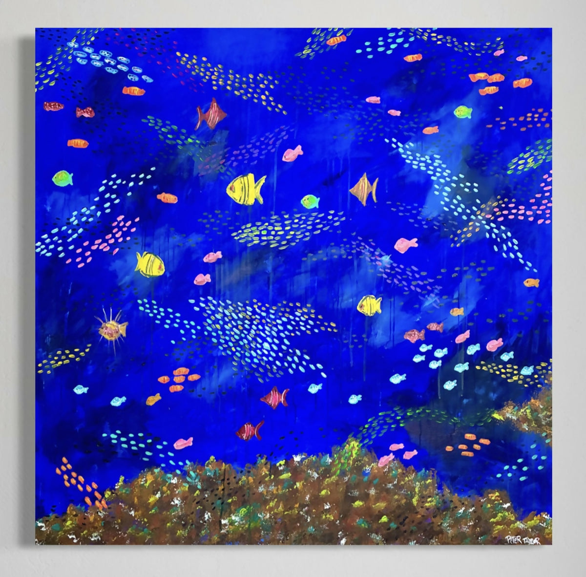 Peak Hour on The Reef
