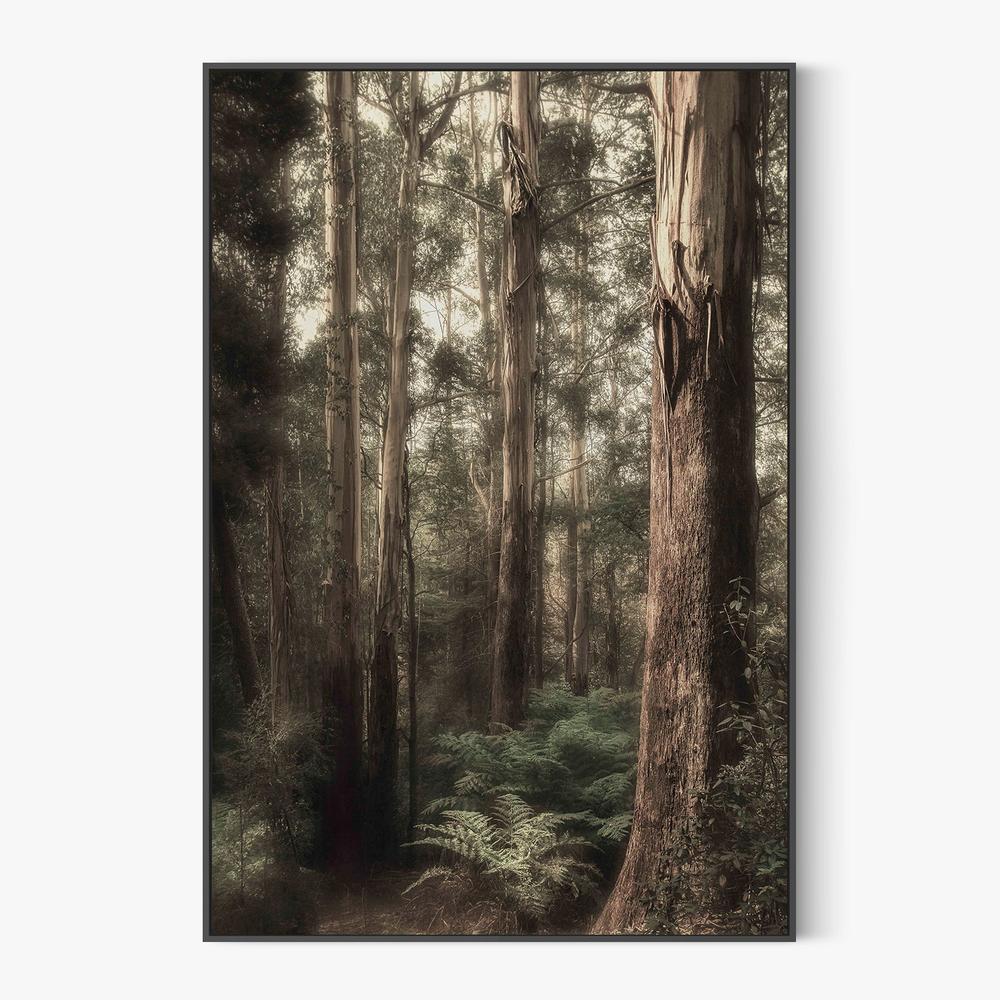 Ghostly-by-Andrew Paranavitana-wall-art-print-canvas-poster-framed-Gioia