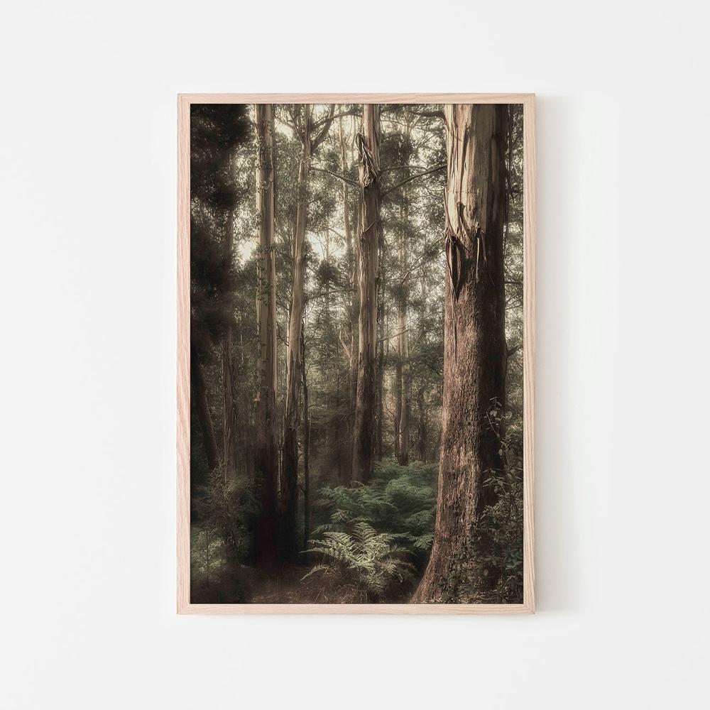 Ghostly-by-Andrew Paranavitana-wall-art-print-canvas-poster-framed-Gioia
