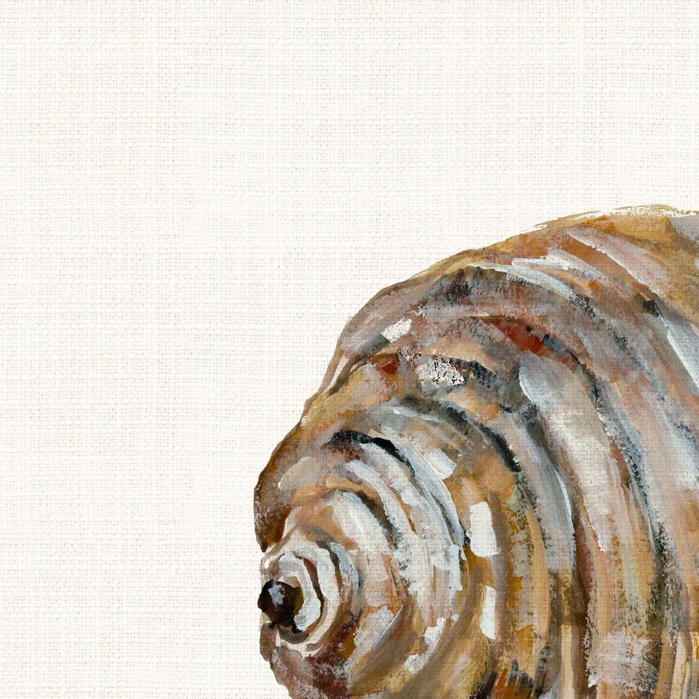 Golden Seashell-by-Jacob Q-wall-art-print-canvas-poster-framed-Gioia