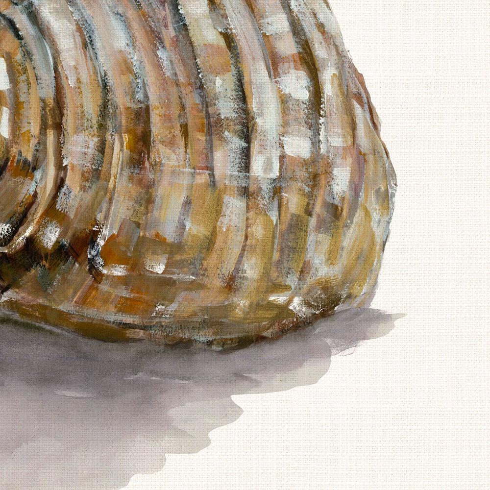 Golden Seashell-by-Jacob Q-wall-art-print-canvas-poster-framed-Gioia