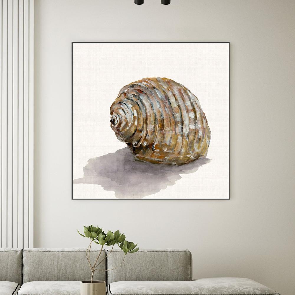 Golden Seashell-by-Jacob Q-wall-art-print-canvas-poster-framed-Gioia