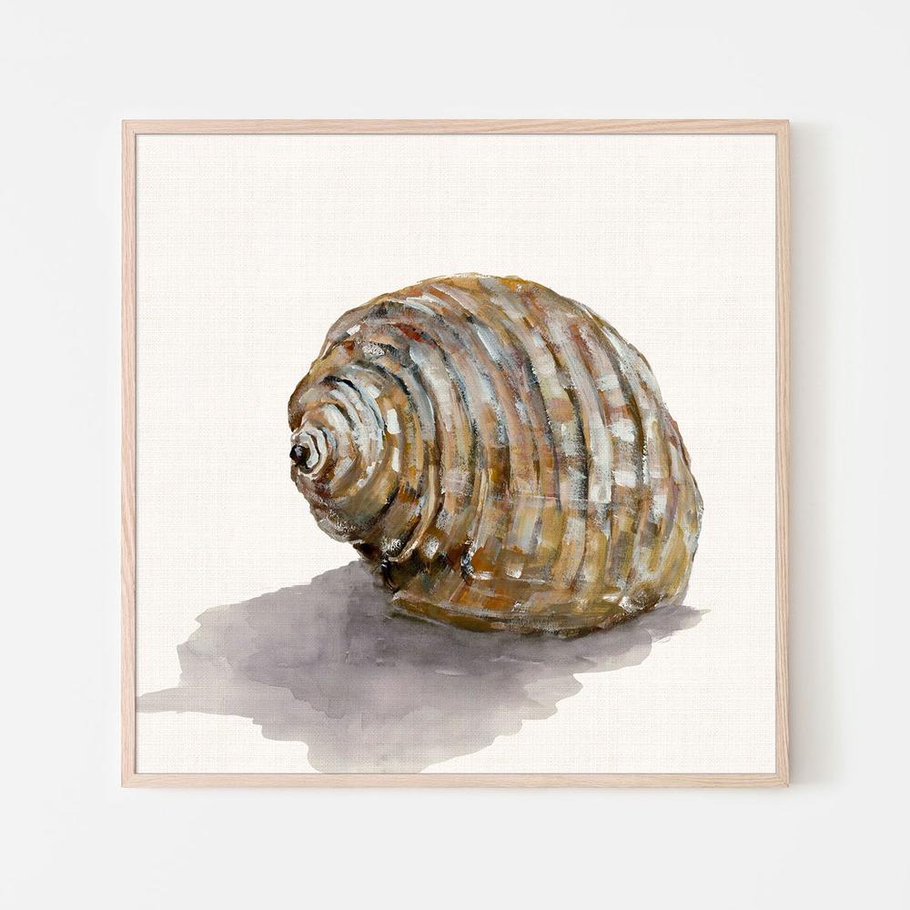 Golden Seashell-by-Jacob Q-wall-art-print-canvas-poster-framed-Gioia