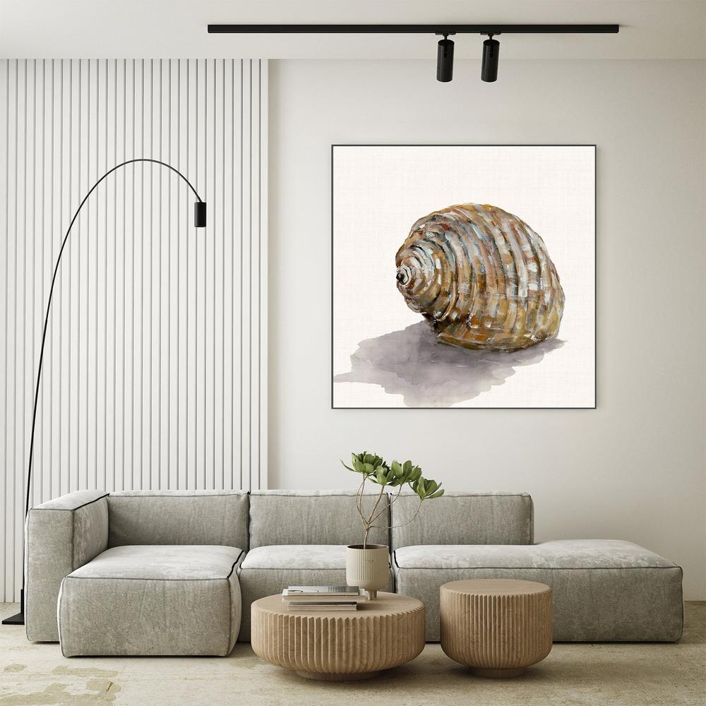 Golden Seashell-by-Jacob Q-wall-art-print-canvas-poster-framed-Gioia