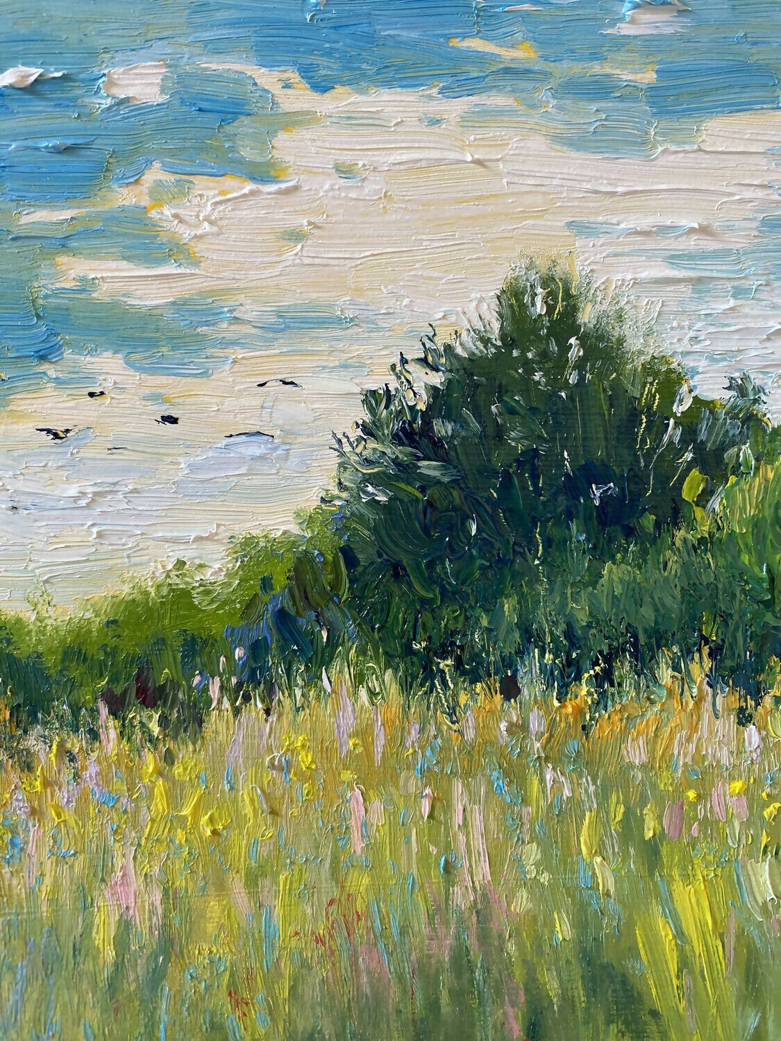 Spring Flowers