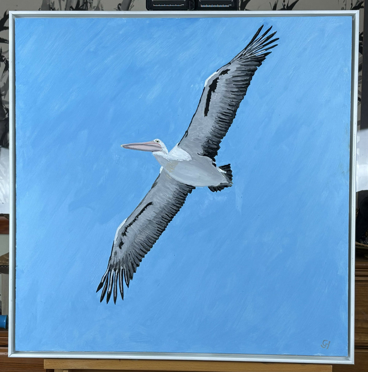 Pelican in Flight