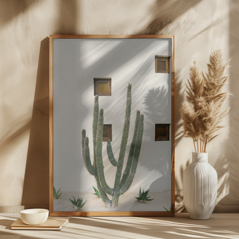 Cabo Cactus IX
