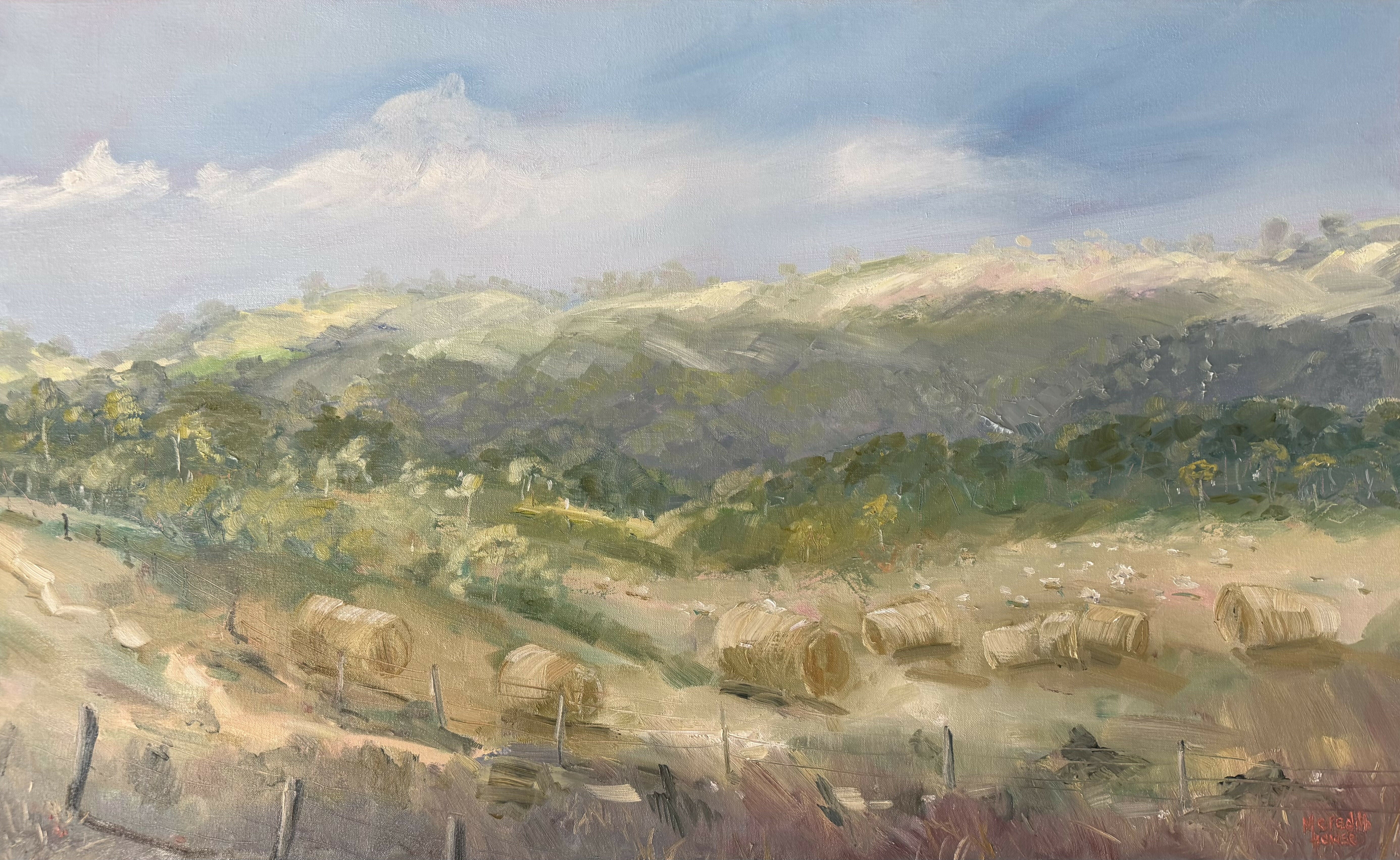Round Bales for Sheep