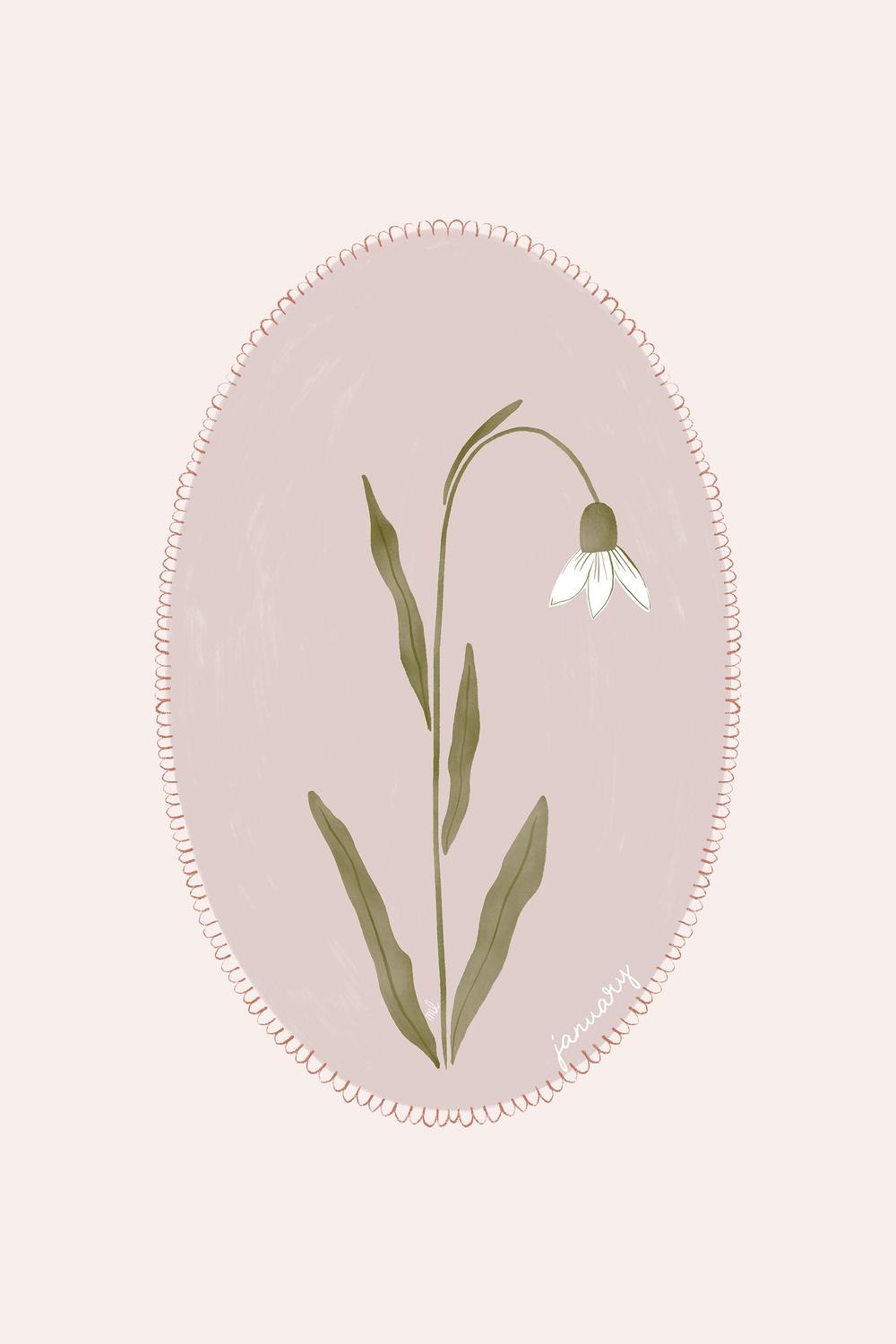 January Snowdrop Bloom-by-Menina Lisboa-wall-art-print-canvas-poster-framed-Gioia