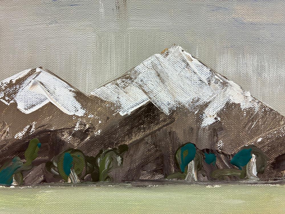 Snowy Mountains Plains