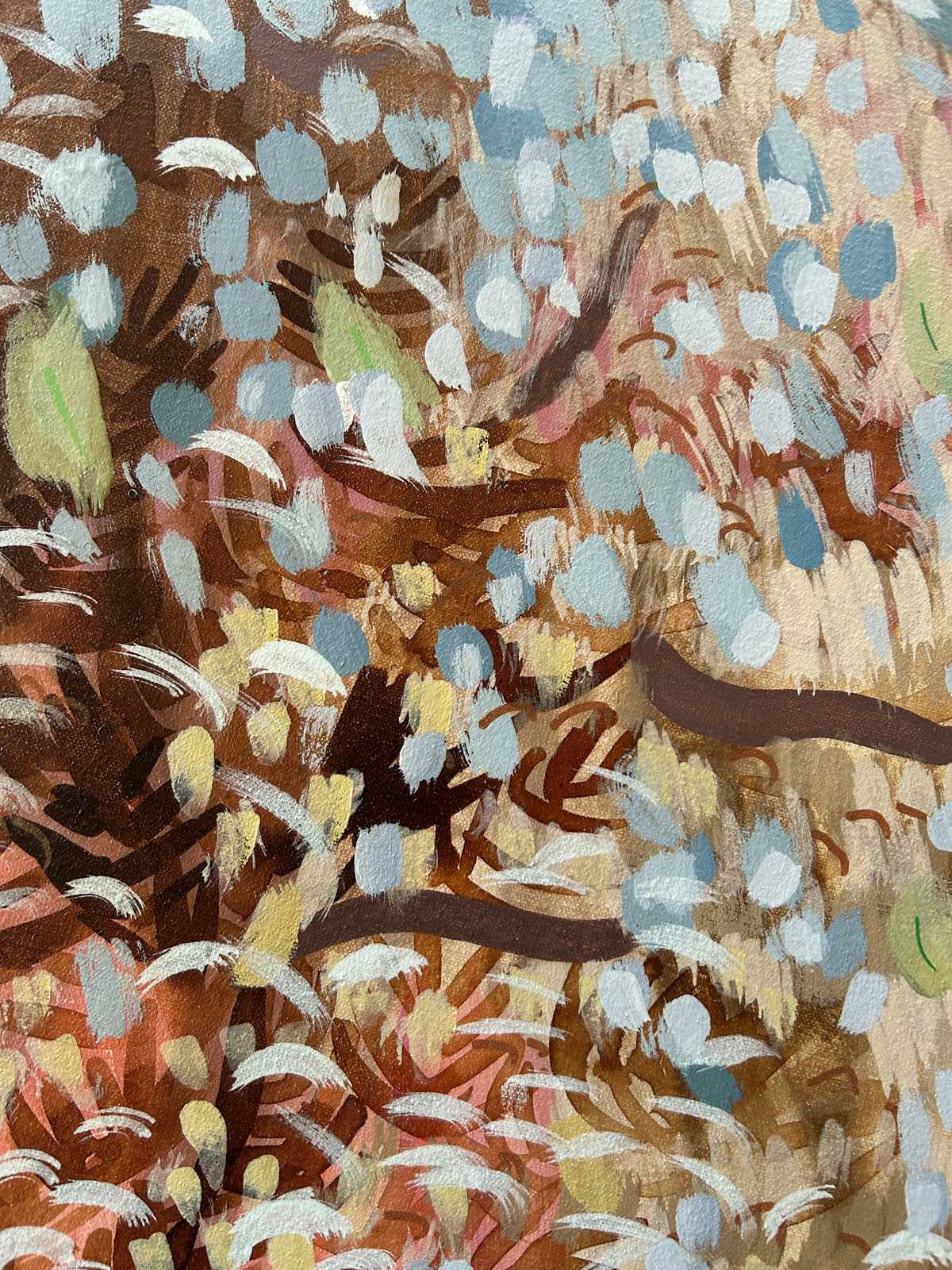Shadows Beneath the Gums