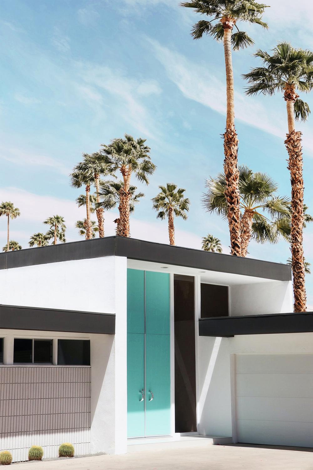 Life At Palm Springs-by-Gal Pittel-wall-art-print-canvas-poster-framed-Gioia