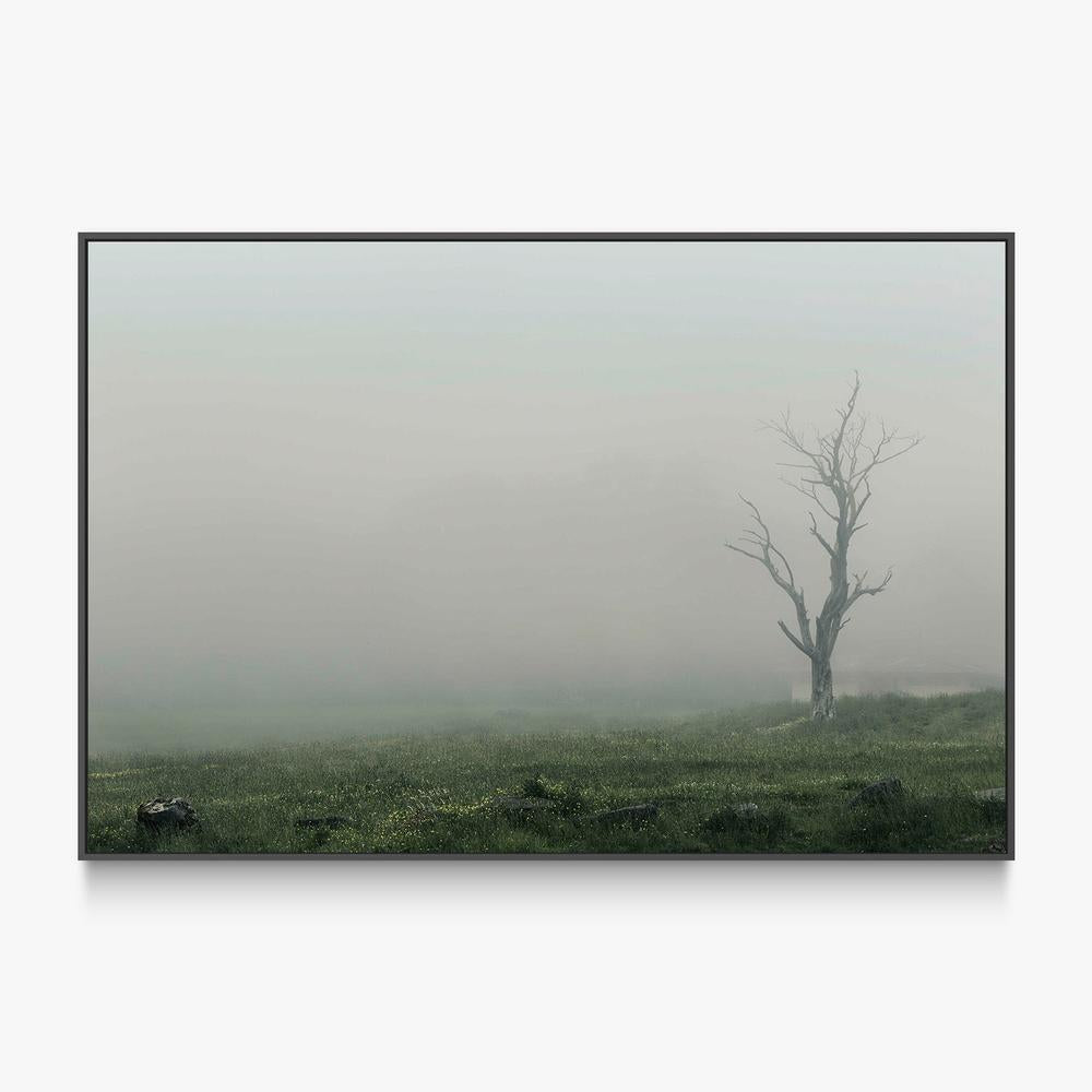 Lone Tree in a Foggy Landscape (Hollow)-by-Andrew Paranavitana-wall-art-print-canvas-poster-framed-Gioia