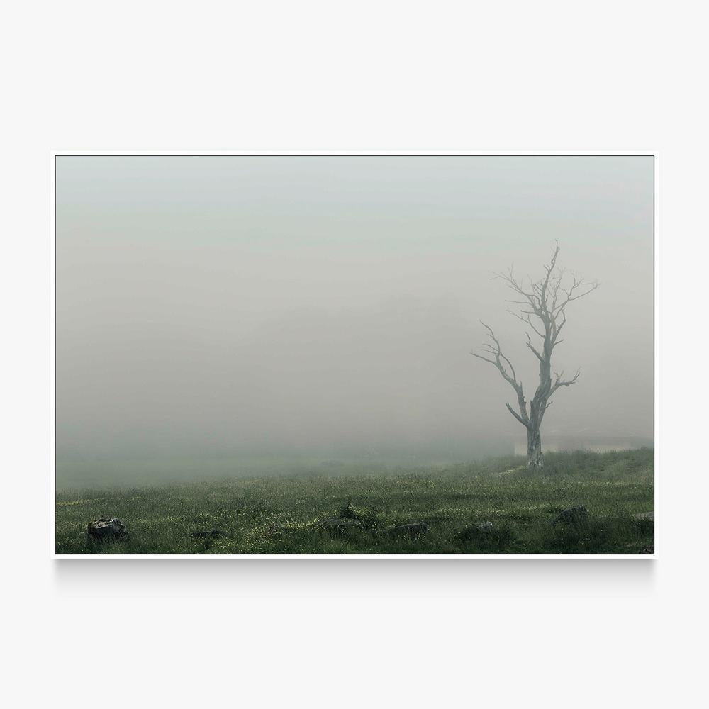 Lone Tree in a Foggy Landscape (Hollow)-by-Andrew Paranavitana-wall-art-print-canvas-poster-framed-Gioia