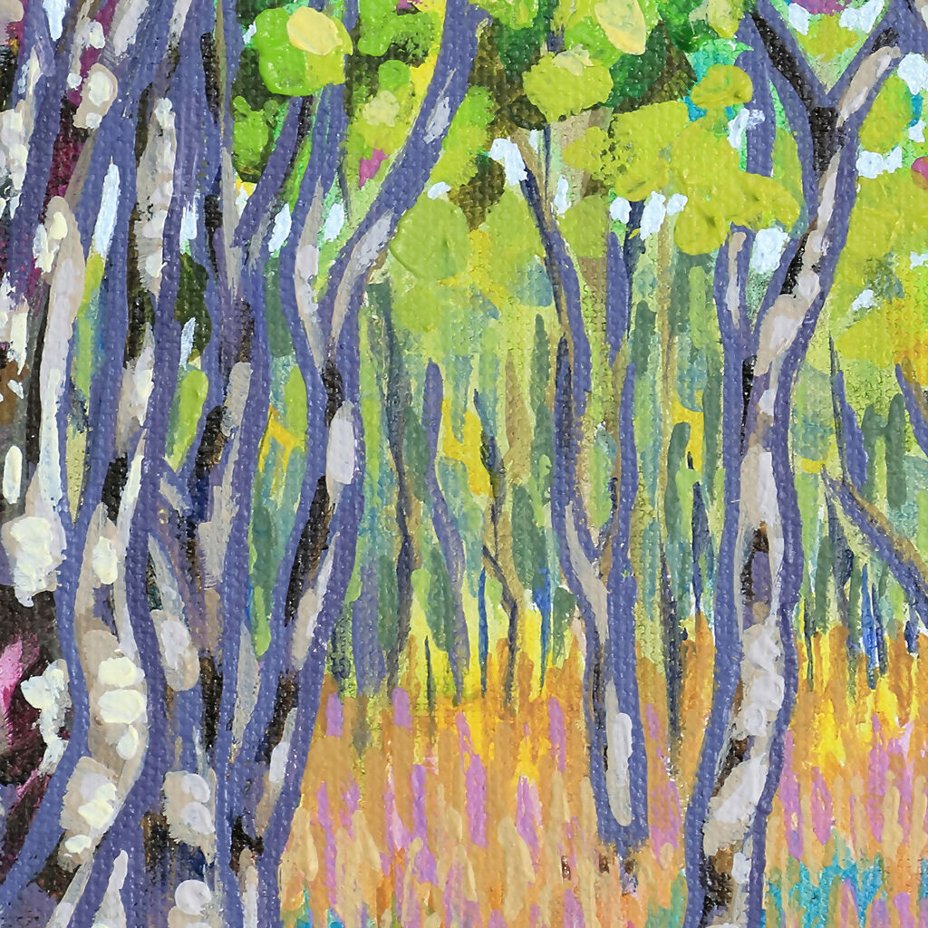 The Enchanted Outback