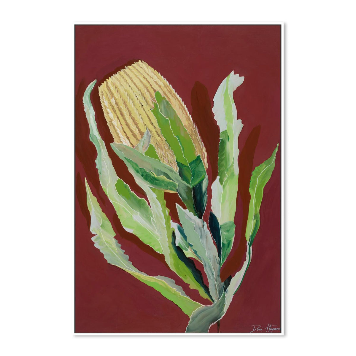 Maroon Banksia-by-Dani Heyward-wall-art-print-canvas-poster-framed-Gioia