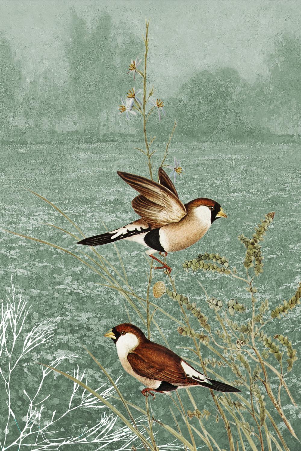 wall-art-print-canvas-poster-framed-Meadow Finches Flying-1