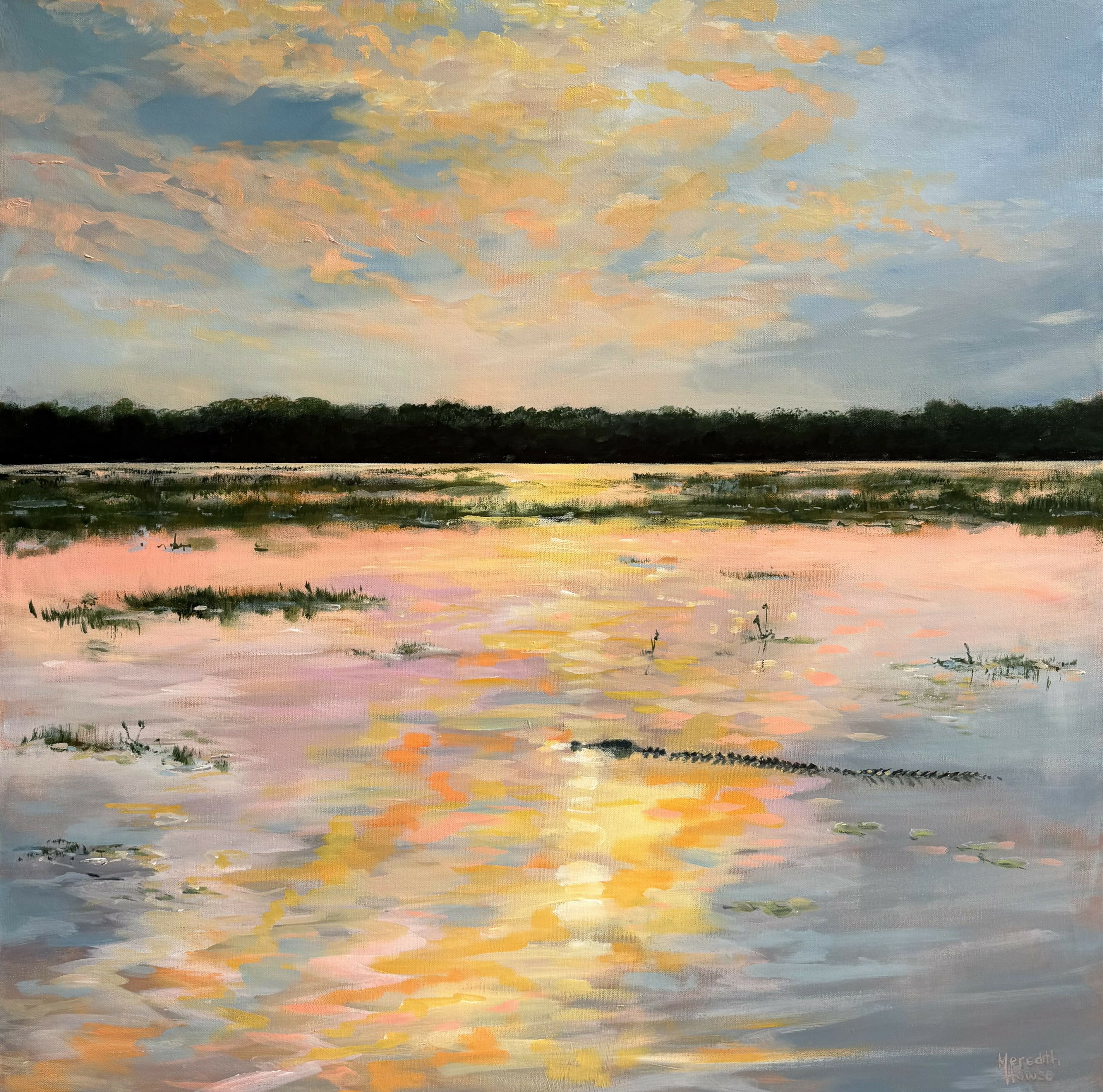 Kakadu Crocodile Sunset