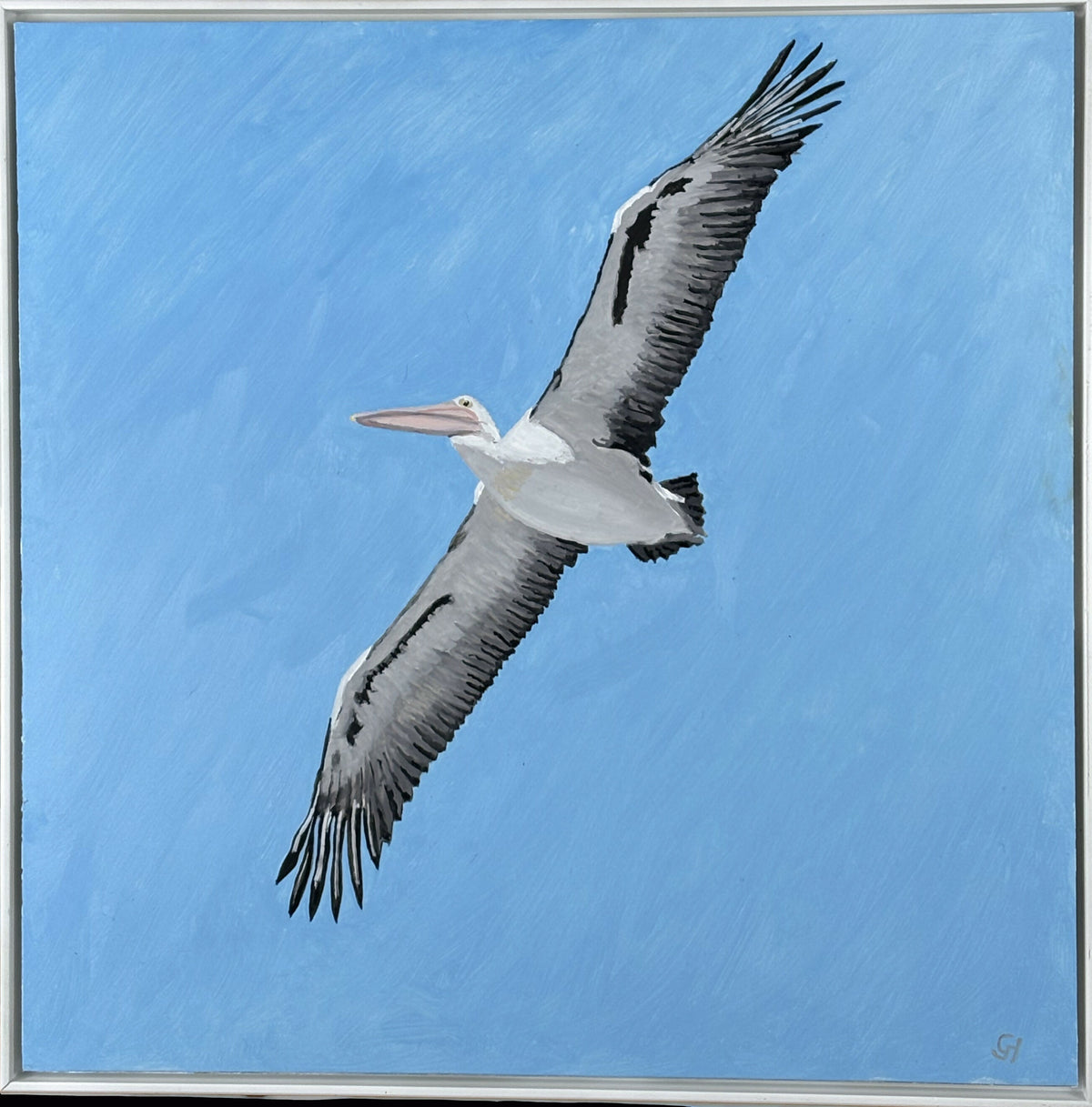 Pelican in Flight