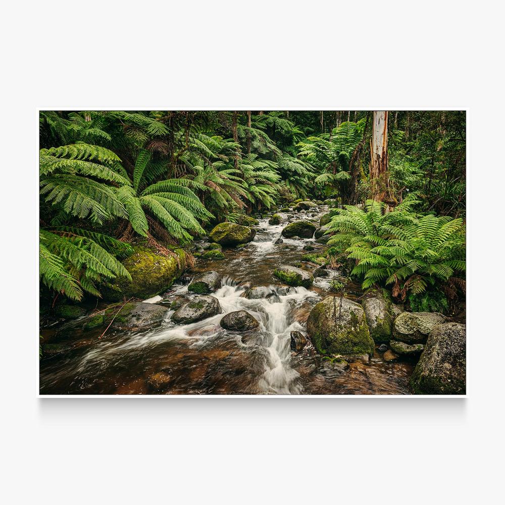 Noojee River-by-Andrew Paranavitana-wall-art-print-canvas-poster-framed-Gioia