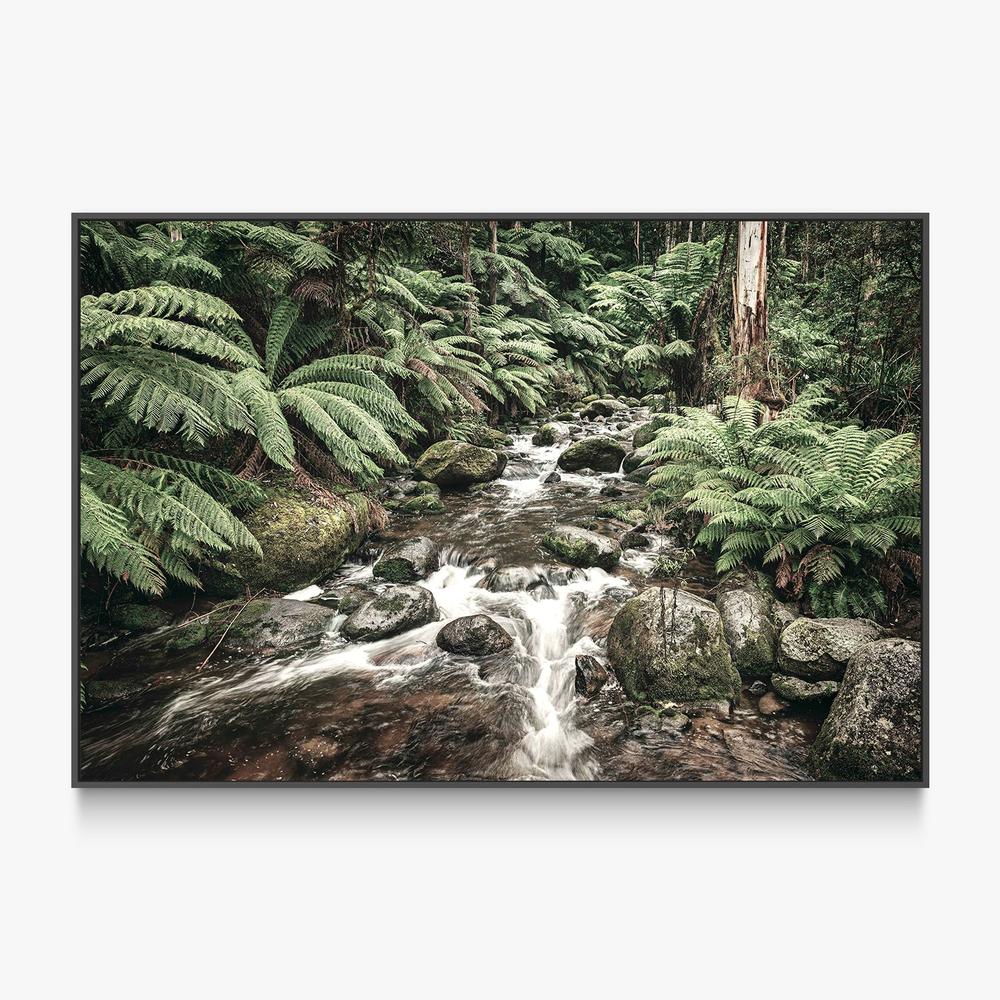 Noojee River, Style B-by-Andrew Paranavitana-wall-art-print-canvas-poster-framed-Gioia