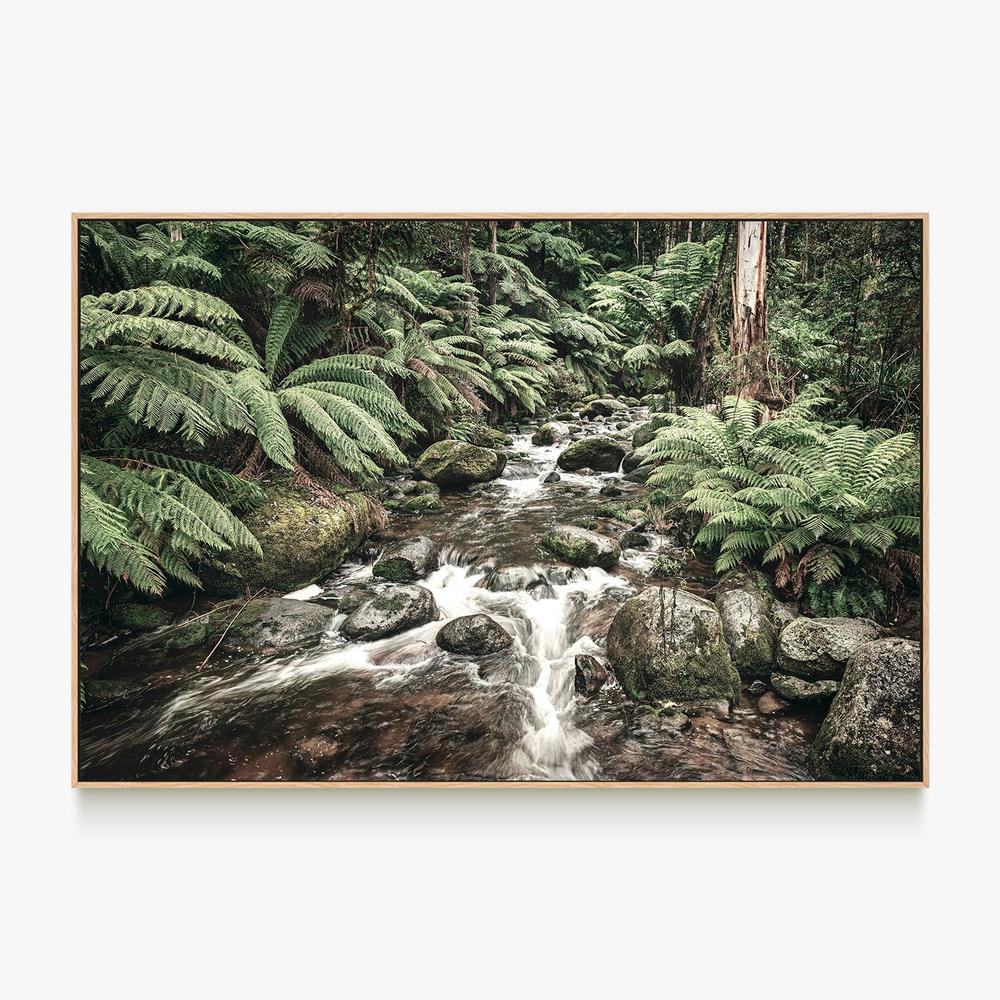 Noojee River, Style B-by-Andrew Paranavitana-wall-art-print-canvas-poster-framed-Gioia