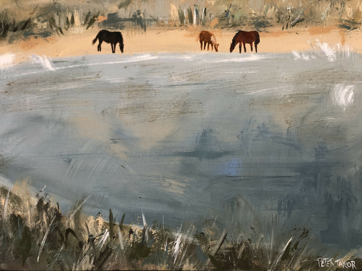 Brumbies Drinking Lakeside