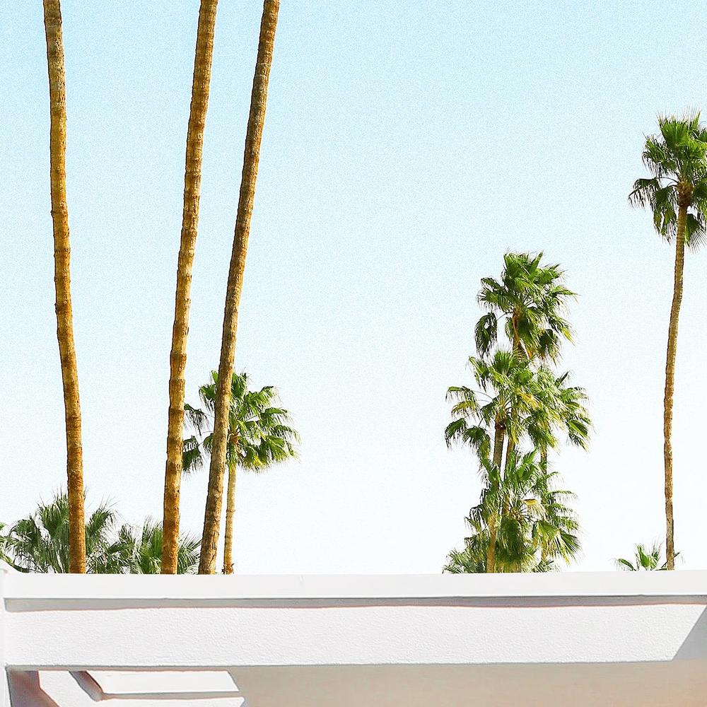 Palm Springs California-by-Gal Pittel-wall-art-print-canvas-poster-framed-Gioia