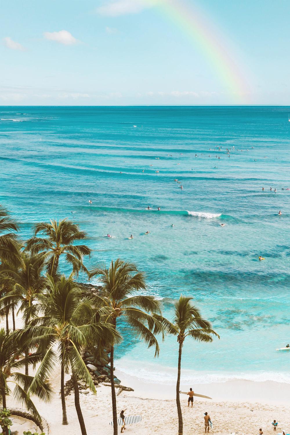 Paradise-by-Gal Pittel-wall-art-print-canvas-poster-framed-Gioia