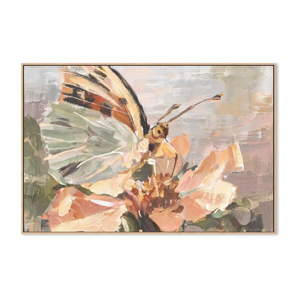 Pastel Butterfly-by-Gioia Wall Art-wall-art-print-canvas-poster-framed-Gioia
