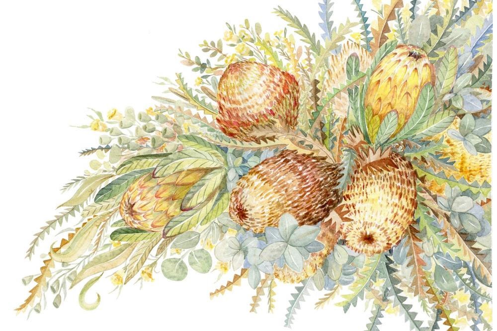 Protea & Banksia - Neutral Tones-by-Jessie Mitchelson-wall-art-print-canvas-poster-framed-Gioia