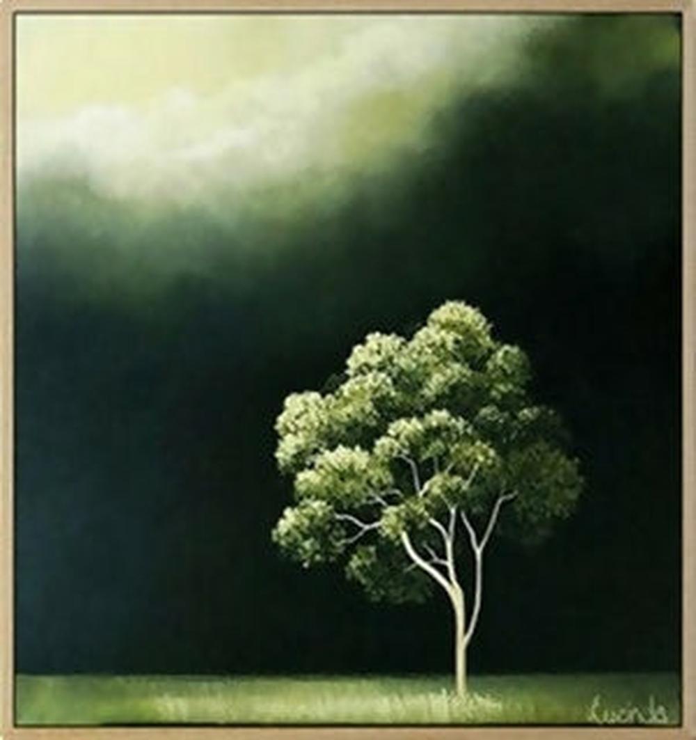 The Light That Remained