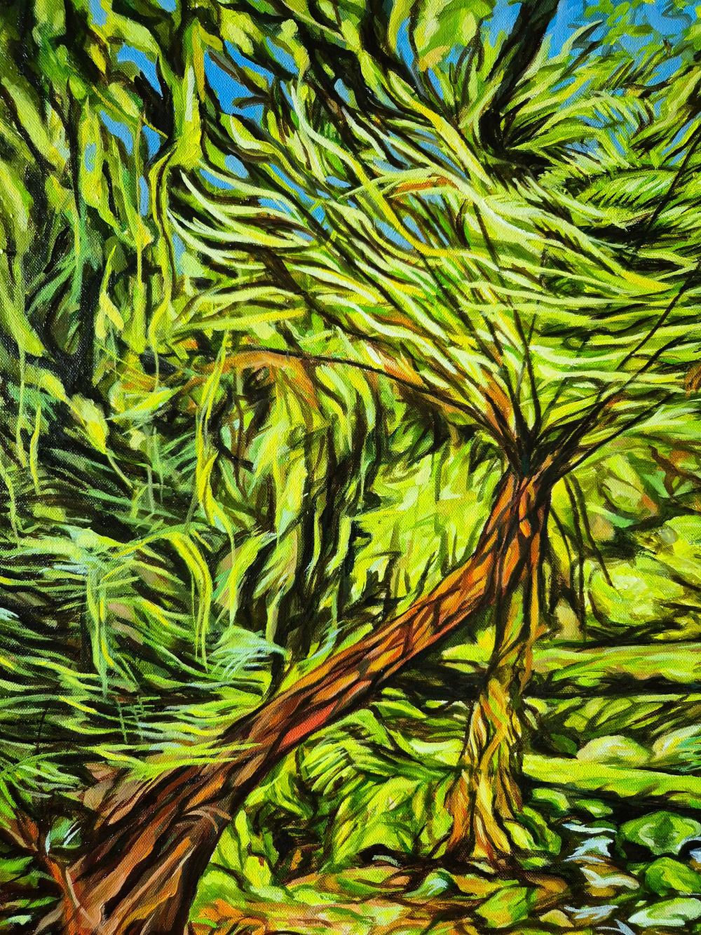Treefern at New England
