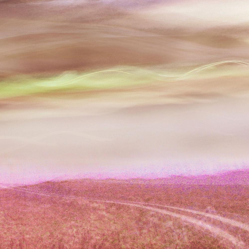 Romantic Field Path-by-Christina Sillen-wall-art-print-canvas-poster-framed-Gioia