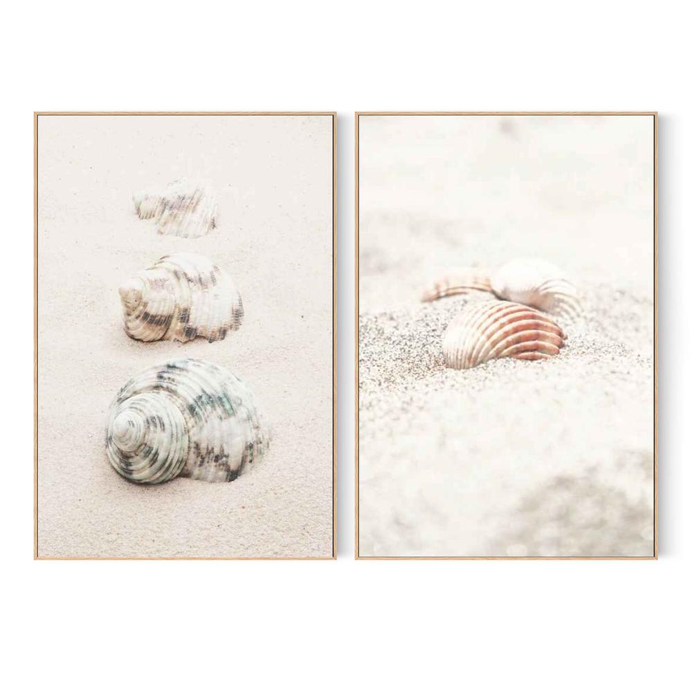 Shells & Shells By The Beach, Set Of 2-by-Plus X Studio-wall-art-print-canvas-poster-framed-Gioia