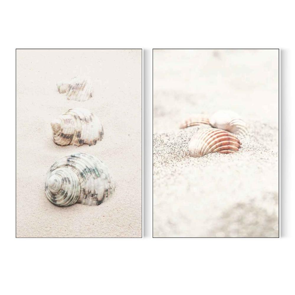 Shells & Shells By The Beach, Set Of 2-by-Plus X Studio-wall-art-print-canvas-poster-framed-Gioia