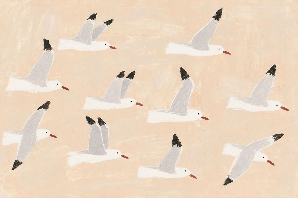 silver gulls-by-Lady Hana-wall-art-print-canvas-poster-framed-Gioia