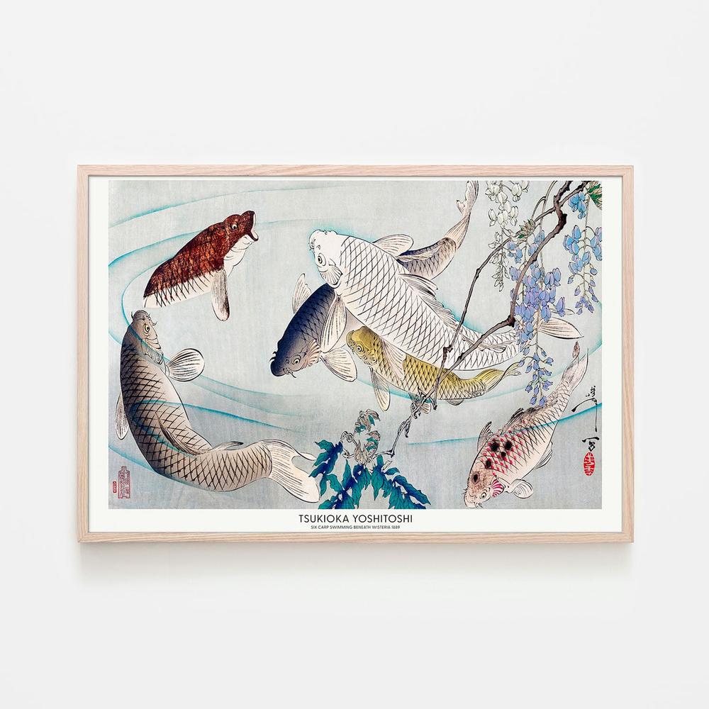 Six Carp Swimming Beneath Wisteria (1889)-by-Tsukioka Yoshitoshi-wall-art-print-canvas-poster-framed-Gioia