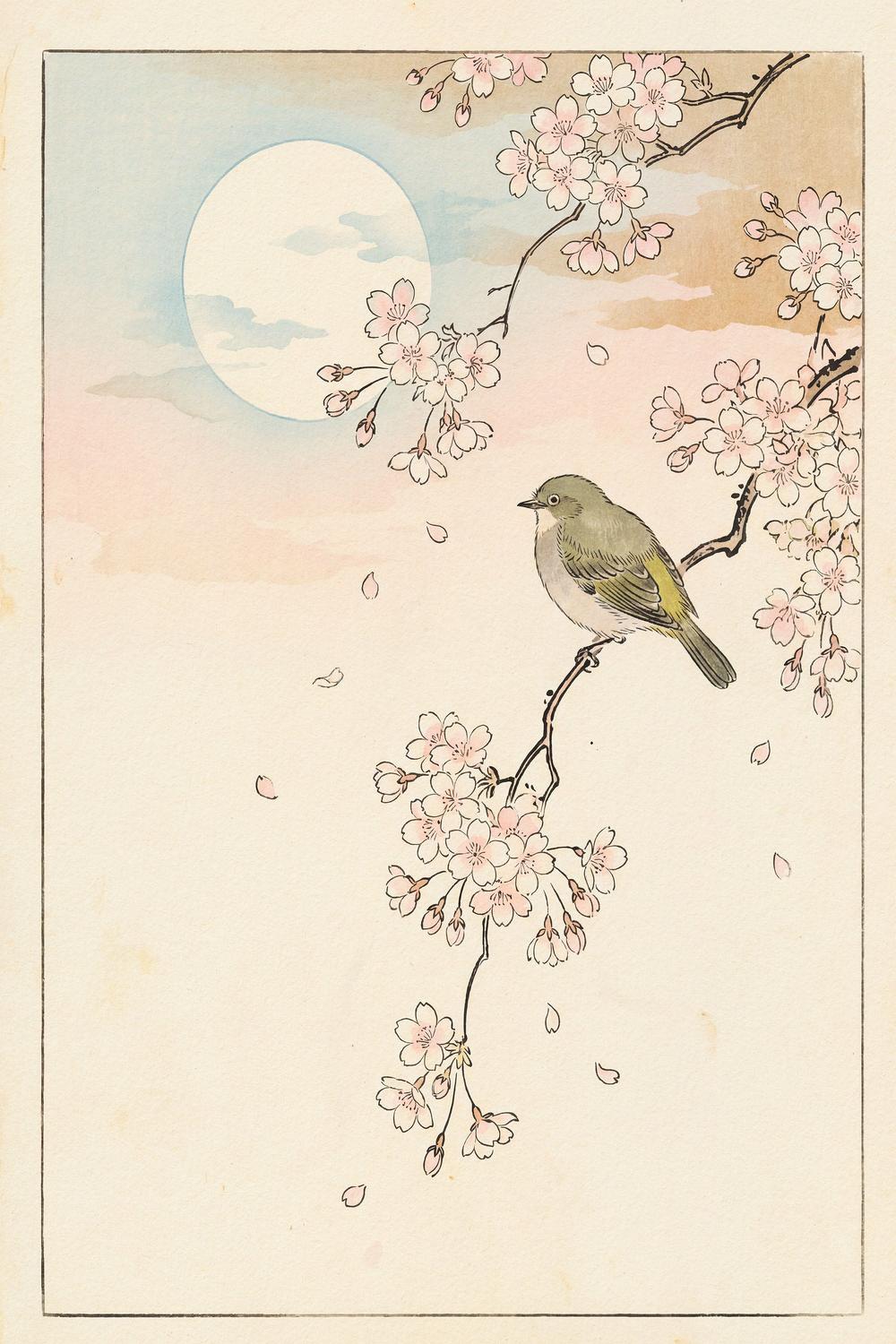 Spring Moon Bird Blossoms-by-Andreas Magnusson-wall-art-print-canvas-poster-framed-Gioia