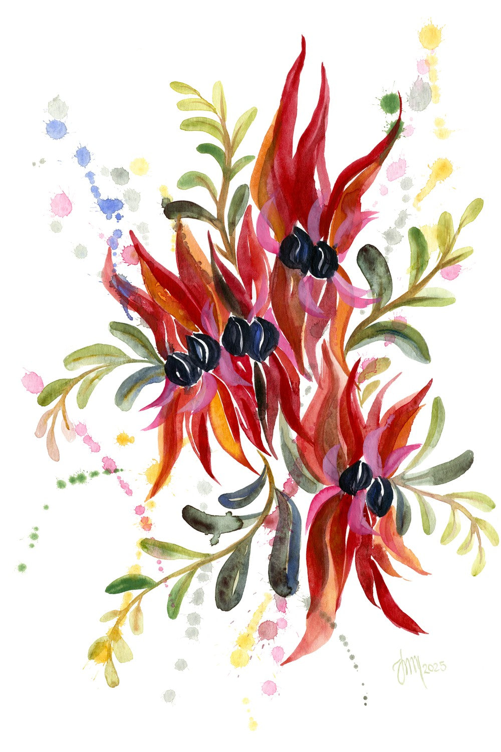 Sturt Desert Pea-by-Jessie Mitchelson-wall-art-print-canvas-poster-framed-Gioia