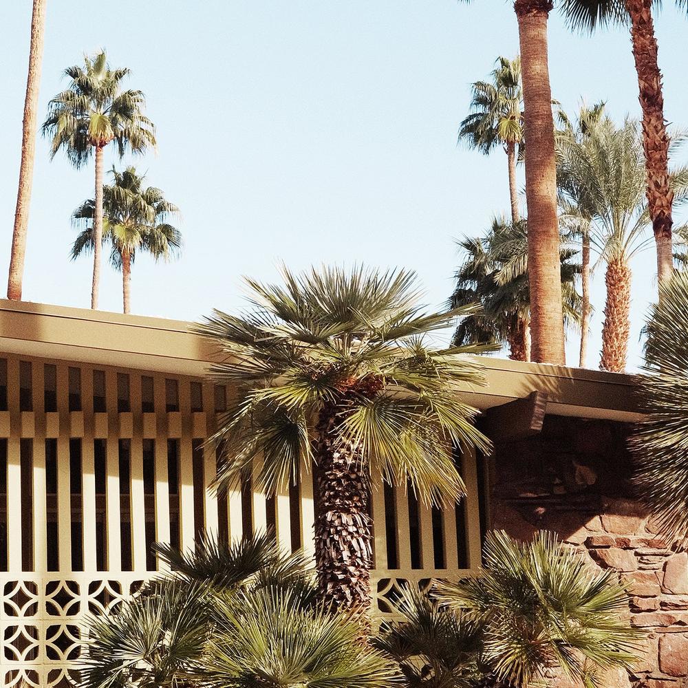 Summer Day At Palm Springs-by-Gal Pittel-wall-art-print-canvas-poster-framed-Gioia