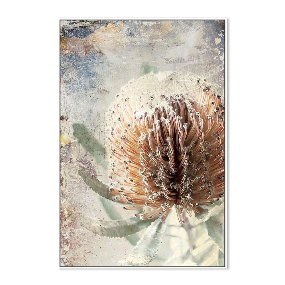 wall-art-print-canvas-poster-framed-Textured Banksia Flower-5